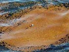 Efforts to fight oil slick continue