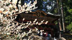 A four-day trip in Tokyo