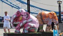 London elephant parade raises awareness of Asian elephants