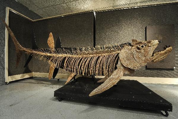 A fish fossil of Cretaceous Period is seen in Los Angeles May 6, 2010.