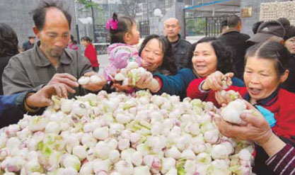 Shoppers in Pixian county of Sichuan province pick out garlic in this file photo. Vegetable prices have increased substantially in most cities, following inclement weather that affected crops in many parts of the country. [China Daily]