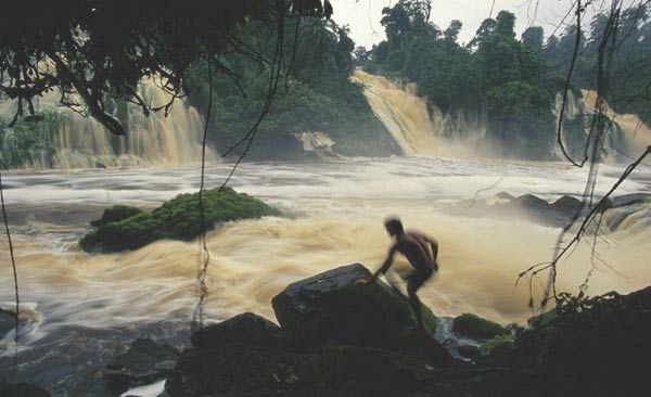 Congo Basin, Africa. [huanqiu.com] 