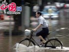 Rain storms lush Southern China