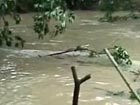 Rainstorms subside in Guangdong province