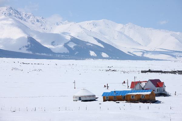 Snow scene is seen on a pasture in Hami, northwest China&apos;s Xinjiang Uygur Autonomous Region, May 17, 2010. A middle-to-heavy snow hit the area from May 15 to 16. [Xinhua]