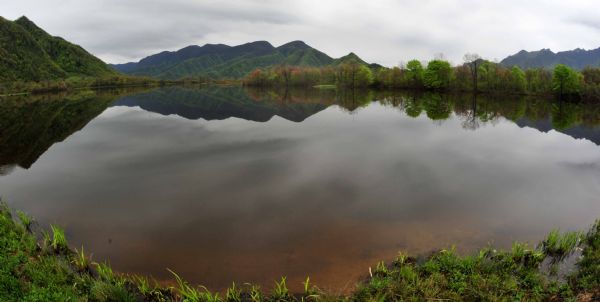 Photo taken on May 18, 2010 shows the lake scenery in the Dajiuhu Wetland Park in Shennongjia, central China's Hubei Province.(Xinhua/Du Huaju)