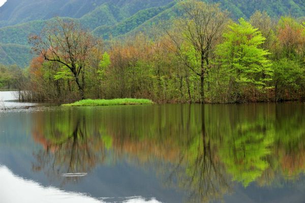 Photo taken on May 18, 2010 shows the lake scenery in the Dajiuhu Wetland Park in Shennongjia, central China's Hubei Province.(Xinhua/Du Huaju) 