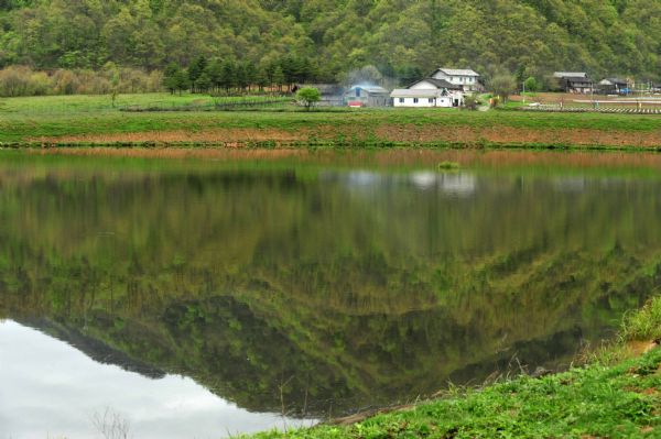 The green mountain is reflected on the lake in the Dajiuhu Wetland Park in Shennongjia, central China&apos;s Hubei Province, May 18, 2010.(Xinhua/Du Huaju)