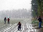 Hail, snow hit Heilongjiang, Xinjiang 