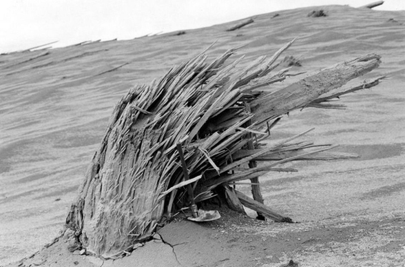 A splintered stump is all that remains of a tree that had grown on a now-desolate ridge near the North Fork Toutle River near Mount St. Helens.