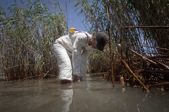 Greenpeace staff member Lindsey Allen takes a sample of water in a heavily oiled marsh near South Pass, Louisiana May 19, 2010. For nearly a month, roughly 5,000 barrels (210,000 gallons/795,000 liters) of oil per day have been gushing from BP's broken Deepwater oil well situated in the Gulf of Mexico, in what could be named the worst oil spill in U.S. history. [Xinhua/Reuters]