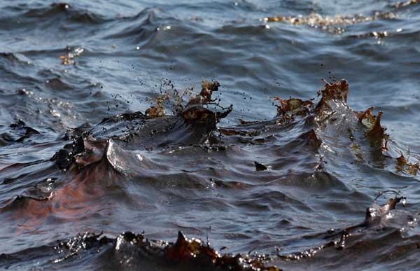 The leaked oil has dyed the sea water brownish red off the Louisiana coast, May 9, 2010. [www.163.com]