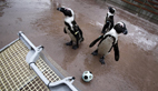 Penguins enjoy their own 'World Cup'