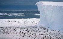Antarctic Peninsula [huanqiu.com]