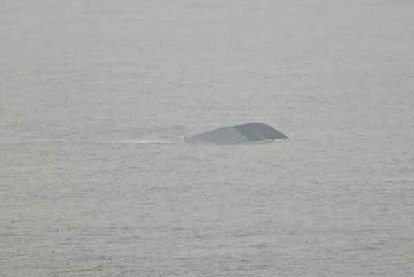 South Korean naval ship, the Cheonan, sinks near South Korea's Baeknyeong Island, close to DPRK, in the western waters on Saturday, March 27, 2010. [Xinhua/Reuters File Photo]