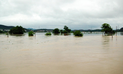 Farmland is seen flooded in Fenyi county of Xinyu city, East China&apos;s Jiangxi province, May 21, 2010. [Xinhua]