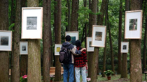 Painting exhibition in botanic garden