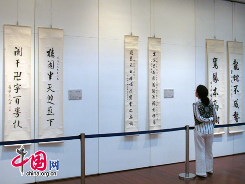 A visitor stands in front of calligraphies. 一位参观者站在书法作品前欣赏
