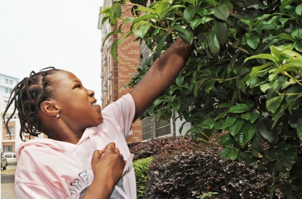 Kichh picks a leaf to decorate her hair, in Yiwu, east China&apos;s Zhejiang Province, May 26, 2010. Muhammed, 11 years old, and his sister Kichh, 8 years old, came to Yiwu 5 years ago with their parents who run businesses here. They entered a local school successively in 2007 and 2008, and they are very fond of Chinese culture. [Xinhua] 