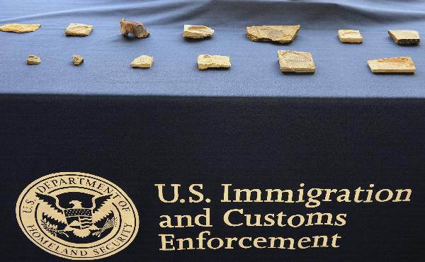 The pre-historic fossils are displayed during the hand-over ceremony in Washington, capital of the United States, May 26, 2010. The U.S. government Wednesday returned some priceless pre-historic fossils to China as a result of two countries' cooperation on the fight against transnational crimes. 