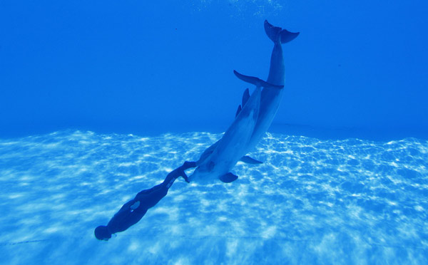 Simone Arrigoni of Italy attempts to set an apnea diving record, while being pushed by two dolphins, in Torvaianica near Rome May 27, 2010. Arrigoni completed 12 loops in 1 minute and 42 seconds to set the record. Xinhua/Reuters]