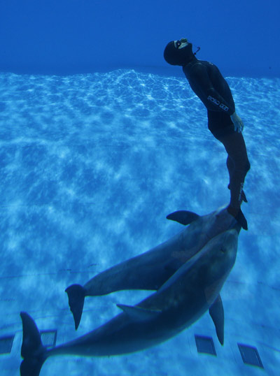 Simone Arrigoni of Italy attempts to set an apnea diving record, while being pushed by two dolphins, in Torvaianica near Rome May 27, 2010. Arrigoni completed 12 loops in 1 minute and 42 seconds to set the record. Xinhua/Reuters]