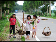 Three children walk home with firewood they gathered at Longxing village, Sanli township of Guigang city in South China's Guangxi Zhuang autonomous region on May 22, 2010.[Xinhua]