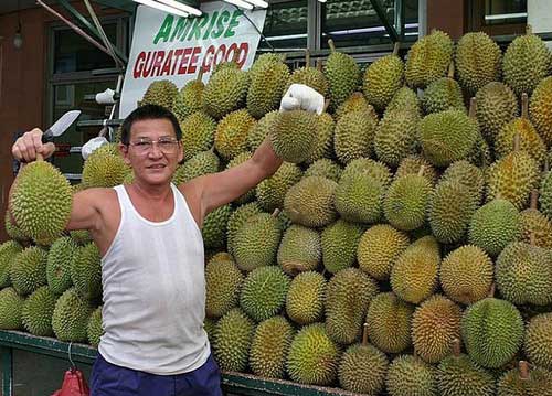 Durian [chinanews.com.cn]