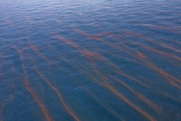Bands of oil are seen near the site of the Deepwater Horizon oil spill in the Gulf of Mexico off the coast of Louisiana May 21, 2010. [Xinhua/Reuters]