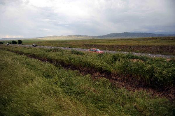 Photo taken on May 28, 2010 shows the landscape of grassland in Kazakhstan. [Xinhua/Sadat]