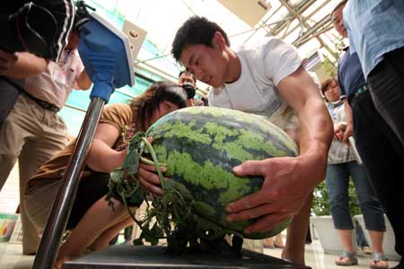 A woman weighs her melon for the competition. Photo: Publicity Office of Daxing district