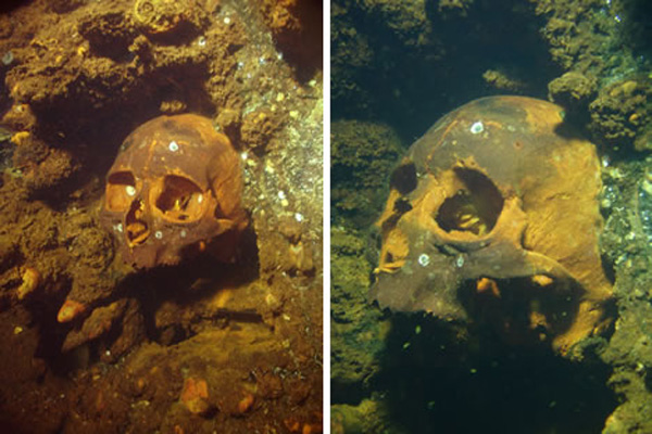 The skull found in the sunken ship Yamagiri Maru [gb.cri.cn]