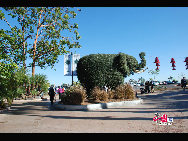 The San Diego Zoo in Balboa Park, San Diego, California, is one of the largest and most progressive zoos in the world, with over 4,000 animals of more than 800 species. It is also one of the few zoos in the world that houses the giant panda. [Photo by Chen Chao]