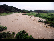 Farmland is flooded in Laibin City, south China's Guangxi Zhuang Autonomous Region, June 1, 2010, due to the continuing severe rain and storm. [Xinhua]