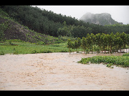 Farmland is flooded in Laibin City, south China's Guangxi Zhuang Autonomous Region, June 1, 2010, due to the continuing severe rain and storm. [Xinhua]