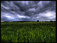 Green Field, Germany. Photograph by Johannes Ehrhardt [Photo Source: news.cn] 