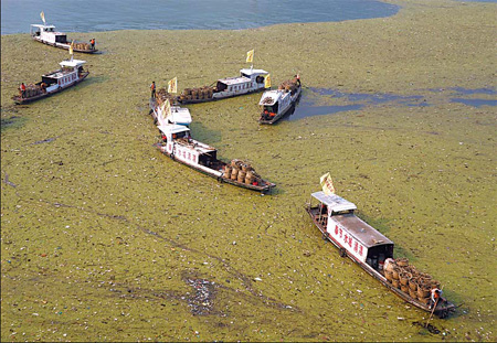 Vessels clean up floating waste and duckweed on the Yangtze River in Fengjie county, Chongqing municipality, in this file photo. [China Daily] 