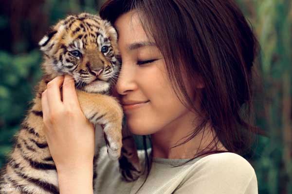 Chinese Actress Li Bingbing poses with a three-month-old tiger for 'Psychologies' magazine. The ambassador of the World Wildlife Fund for Nature (WWF) aims to raise public awareness about protecting wild animals.