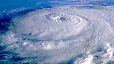 Magnificent spectacle of global tornadoes