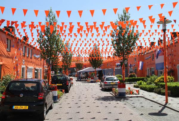 This photo taken on June 4, 2010 shows orange decorated houses in the Irenestraat street of Goirle in the Netherlands to cheer up the Dutch's national team before the World Cup 2010. Orange is the color of the Dutch national soccer team.[Pan Zhi/Xinhua]