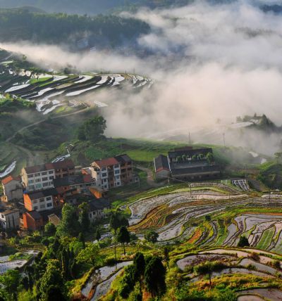 Photo taken on June 5, 2010 shows the terrace scene in Zhuxi Township of Xianju County, Taizhou, east China's Zhejiang Province.HK, Shenzhen to combat travel agencies' malpractice. [Xinhua]