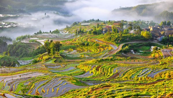 Photo taken on June 5, 2010 shows the terrace scene in Zhuxi Township of Xianju County, Taizhou, east China's Zhejiang Province.