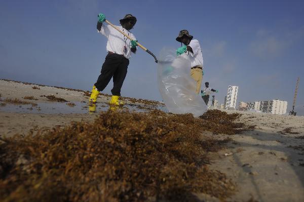 Workers clean the oil washed ashore from the BP Deepwater Horizon spill at the beach of Gulf Shores, southern Alabama, the United States, June 6, 2010. [Xinhua]