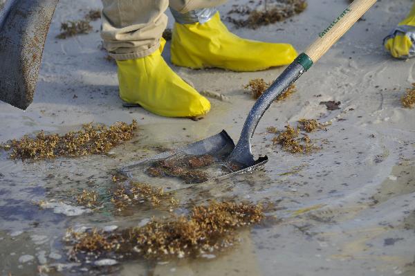 A worker cleans the oil washed ashore from the BP Deepwater Horizon spill at the beach of Gulf Shores, southern Alabama, the United States, June 6, 2010. [Xinhua]