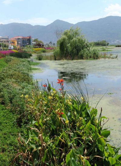 Photo taken on April 30, 2010 shows the Yongchang everglade park at the Dianchi Lake in Kunming, capital of southwest China&apos;s Yunnan Province. June 5 is the World Environment Day. [Xinhua]