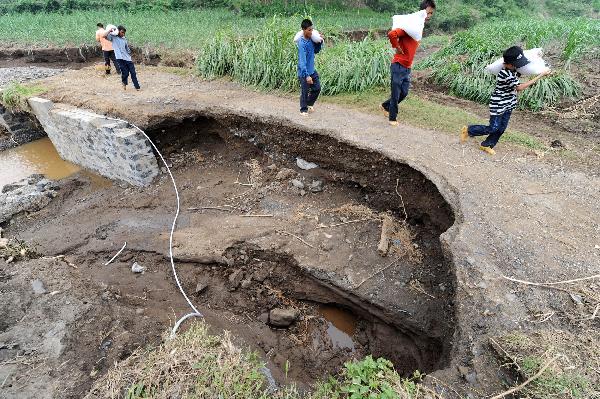 Photo taken on June 6, 2010 show sugarcane field damaged by rainstorms in Shang&apos;e Village of Huangmao Township in Wuxuan Countyship of Laibin City, southwest China&apos;s Guangxi Zhuang Autonomous Region. [Xinhua]