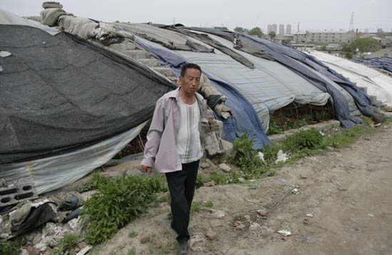 Liu Jinshan stands outside his abandoned greenhouse in Hongxing village. The land has been barren since he sold it to the local government for 2.4 million yuan. [China Daily]