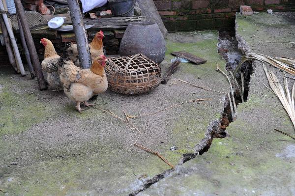 The picture taken on June 7, 2010 shows a crack on the ground in Jili Village of Laibin City, southwest China's Guangxi Zhuang Autonomous Region. (Xinhua/Zhou Hua)