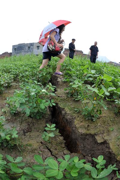 A woman crosses a crack in the peanut field in Laibin City, southwest China's Guangxi Zhuang Autonomous Region, June 7, 2010. (Xinhua/Zhou