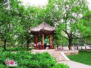 Beijing Traditional Chinese Medicine (TCM) theme park, which opened on May 1, is located in the northeast corner of Ditan Park and covers 2.5 hectares. The park was designed to popularize the theories, skills and methods of TCM health cultivation, while providing citizens with access to recreational fitness equipment. [Photo by Xiaobo]